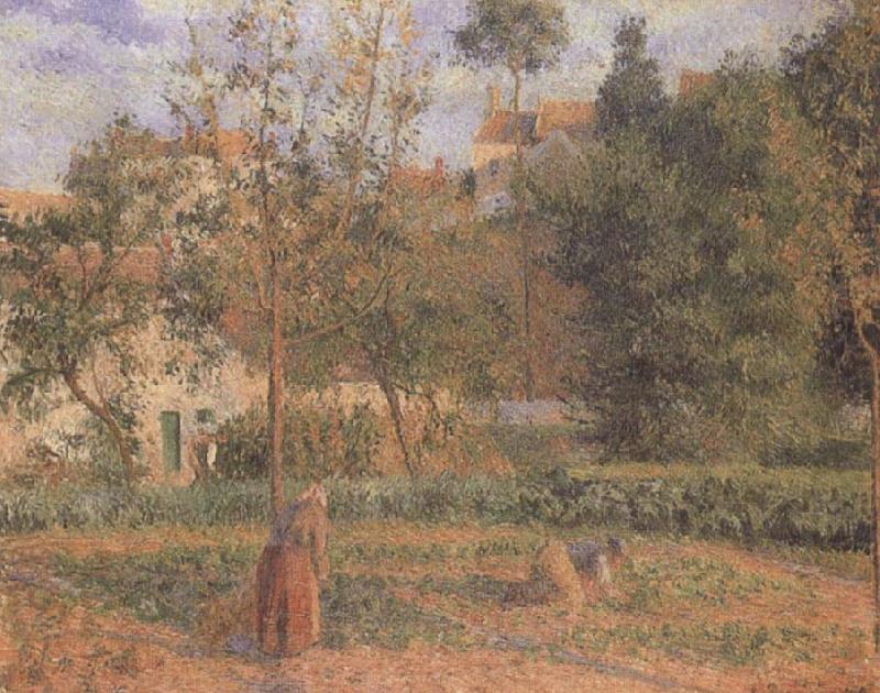 Vegetable Garden at the Hermitage near Pontoise, Camille Pissarro